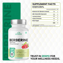 Zespo Berberine 1300mg HCL 5-in-1 with Milk Thistle, Turmeric & Ceylon Cinnamon - 60 Capsules