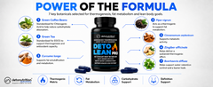 Detonutrition Deto Lean Pro – Thermogenic Fat Burner & Weight Loss Capsules (60 Capsules)