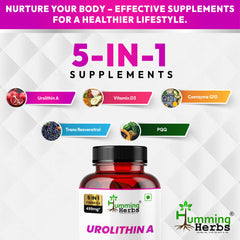 Humming Herbs Urolithin A Complex – 250 mg Urolithin A with CoQ10, PQQ, Resveratrol & Vitamin D3 – 5in1 Mitochondrial & Cellular Energy Support – Vegan, Non-GMO
