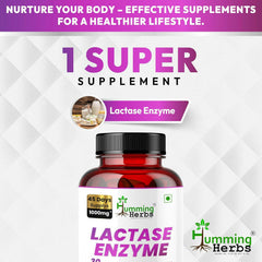 Humming Herbs Lactase Enzyme 90 Vegan Capsules, 45-Day Pack 1000mg Per Serving