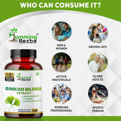 Humming Herbs Ginkgo Biloba with Bacopa, L-Theanine, Phosphatidylserine, Vitamin B6, B12, Magnesium, Folic Acid & Zinc | 9-in-1 Daily Nutrition Blend