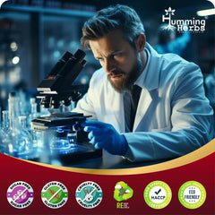 Humming Herbs Red Korean Ginseng with Ginkgo Biloba Leaf, Siberian Ginseng, Supports Energy, Concentration, Immune system and Improves Mental Clarity