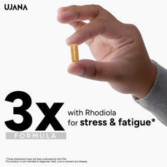 UJANA Rhodiola Ginseng with L-Theanine – 900 mg Herbal Blend – 90 Vegetarian Capsules – 45 Day Pack
