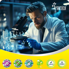 Humming Herbs Berberine Supplement with Milk Thistle,Ceylon Cinnamon, Turmeric, Red Yeast Rice, Wild Bitter Melon, Gymnema & Probiotics – Vegetarian Capsules