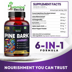 Humming Herbs Pine Bark 1200mg - 6-in-1 Formula With Lions Mane, Turmeric, Alpha Lipoic Acid, Ashwagandha, Curcumin,Black Pepper 60 Capsules