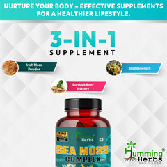 Humming Herbs Sea Moss Complex 90 Capsules - With Irish Sea Moss Powder, Bladderwrack | Bio available Minerals for Thyroid, Skin and Joint Support