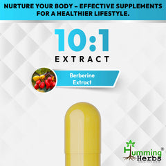 Humming Herbs Berberine Pure Extract 1000mg |Immune Support, Gut Health, Digestive Wellness, Metabolic Balance & Antioxidant Protection | Vegan, Non-GMO, High Bioavailable Form
