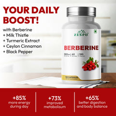 Zespo Berberine HCl 1200mg with Milk Thistle, Turmeric, Ceylon Cinnamon & Black Pepper - 120 Capsules