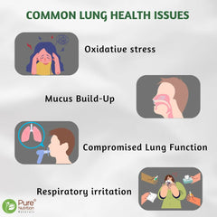 Pure Nutrition Lung Detox Supplement - 60 Veg Capsules | Quercetin, Vitamin C, Nettle, Vasaka Leaf, Lotus, Licorice & Ginger | Supports Lung Cleansing, Respiratory Health & Immune Defense | 100% Herbal Formula