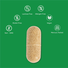 Newedge Ashwagandha & Holy Basil Complex | With Shoden® Ashwagandha & Ocitum™ Holy Basil Extract | Supports Stress, Energy & Wellness