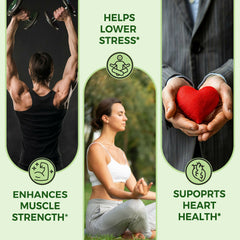 Pure Nutrition Organic Ashwagandha Tablets | 120 Veg Tablets | Supports Stress Relief, Sleep, Fertility, Immune Health, Vitality & Strength | Natural Adaptogen for Men & Women | Promotes Energy & Overall Wellness | Ayurvedic Supplement