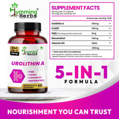Humming Herbs Urolithin A Complex – 250 mg Urolithin A with CoQ10, PQQ, Resveratrol & Vitamin D3 – 5in1 Mitochondrial & Cellular Energy Support – Vegan, Non-GMO