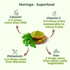 Pure Nutrition Moringa Powder, 100gm | Helps in weight management | Reduces stress levels | Improves immunity and energy levels | Packed with vitamins, minerals and amino acids
