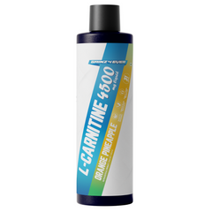 Gainz4Ever L-Carnitine +500 | L-Carnitine Liquid Formula | Supports Fat Metabolism, Energy Production & Workout Performance | 31 Servings