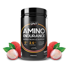 QNT Amino Endurance (BCAA)| 400g | 30 Servings (7g BCAA, 3.5g L-Leucine, Vitamin B6) Supports Muscle Building & Recovery