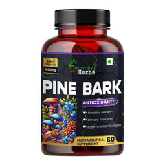 Humming Herbs Pine Bark 1200mg - 6-in-1 Formula With Lions Mane, Turmeric, Alpha Lipoic Acid, Ashwagandha, Curcumin,Black Pepper 60 Capsules