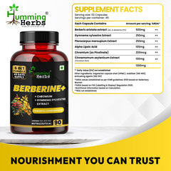 Humming Herbs Berberine+ 1200mg with Chromium, Gymnema, Cinnamon & ALA | 6-in-1 Herbal Formula | 90 Veg Capsules | 45 Days Supply | Sugar-Free & Non-GMO
