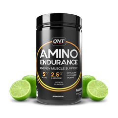 QNT Amino Endurance (BCAA)| 400g | 30 Servings (7g BCAA, 3.5g L-Leucine, Vitamin B6) Supports Muscle Building & Recovery