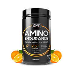 QNT Amino Endurance (BCAA)| 400g | 30 Servings (7g BCAA, 3.5g L-Leucine, Vitamin B6) Supports Muscle Building & Recovery