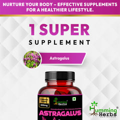 Humming Herbs Astragalus Root Extract Capsules - Supports Immune System, Cardiovascular & Liver Health - Natural Antioxidant & Anti-Aging Supplement