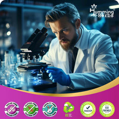 Humming Herbs Astragalus Root Extract Capsules - Supports Immune System, Cardiovascular & Liver Health - Natural Antioxidant & Anti-Aging Supplement