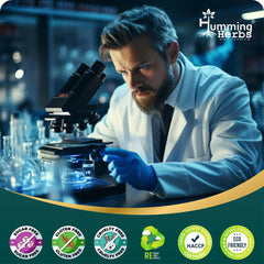 Humming Herbs Saw Palmetto Plus Prostate Support - Enhanced Formula with Quercetin, Turmeric, Pygeum, Vitamins E & B6, Zinc, Selenium for Men's Health, Capsule