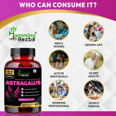 Humming Herbs Astragalus Root Extract Capsules - Supports Immune System, Cardiovascular & Liver Health - Natural Antioxidant & Anti-Aging Supplement