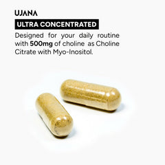UJANA Choline with Myo-Inositol, L-Theanine, Zinc, Vitamin B6, Vitamin B12 & Vitamin D3 – 1150 mg Formula – 90 Vegetarian Capsules – 45 Day Pack