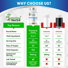 Humming Herbs Tributyrin 95% Pure | 730 mg Butyrate | With Zinc, FOS & Probiotic Blend & FOS | 180 Veg Capsules | Nutraceutical Supplement