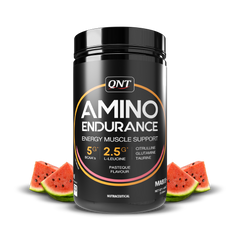QNT Amino Endurance (BCAA)| 400g | 30 Servings (7g BCAA, 3.5g L-Leucine, Vitamin B6) Supports Muscle Building & Recovery