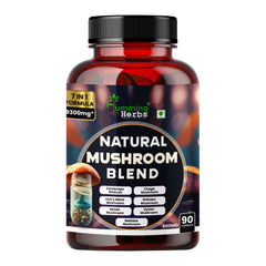 Humming Herbs Natural Mushroom Blend Capsules 7-in-1 with Cordyceps,Lion's Mane,Reishi, Maitake,Chaga,Shiitake & Oyster Mushroom 90 Capsules