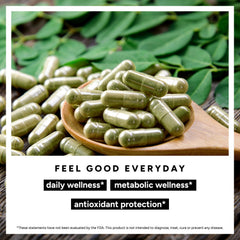 UJANA Moringa – 1000 mg Moringa Oleifera Leaf Extract 10:1 with Black Pepper – 90 Veg Capsules