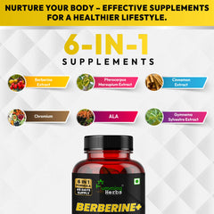Humming Herbs Berberine+ 1200mg with Chromium, Gymnema, Cinnamon & ALA | 6-in-1 Herbal Formula | 90 Veg Capsules | 45 Days Supply | Sugar-Free & Non-GMO