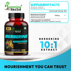Humming Herbs Berberine Pure Extract 1000mg |Immune Support, Gut Health, Digestive Wellness, Metabolic Balance & Antioxidant Protection | Vegan, Non-GMO, High Bioavailable Form