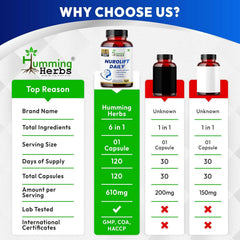 Humming Herbs Nurolift Daily Supplement 6-in-1 with Bacopa,Ginkgo,L-Theanine,Vitamin B12,Folic Acid & Zinc–120 Veg Capsules