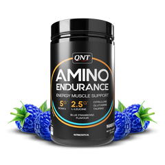 QNT Amino Endurance (BCAA)| 400g | 30 Servings (7g BCAA, 3.5g L-Leucine, Vitamin B6) Supports Muscle Building & Recovery