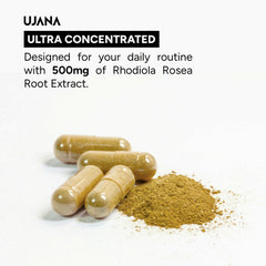 UJANA Rhodiola Ginseng with L-Theanine – 900 mg Herbal Blend – 90 Vegetarian Capsules – 45 Day Pack