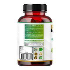 Humming Herbs Ginkgo Biloba with Bacopa, L-Theanine, Phosphatidylserine, Vitamin B6, B12, Magnesium, Folic Acid & Zinc | 9-in-1 Daily Nutrition Blend