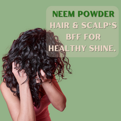 Pure Nutrition Organic Neem Leaf Powder (Azadirachta Indica) for Face Pack, Healhy Skin & Hair | Boosts Immunity & Digestion | 100% Pure, Free from Additives | Sun-dried | USDA Organic Certified | Edible Quality - 227g