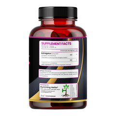 Humming Herbs Astragalus Root Extract Capsules - Supports Immune System, Cardiovascular & Liver Health - Natural Antioxidant & Anti-Aging Supplement