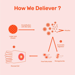 NewEdge |Advanced Omega-3 with MaxSimil® Technology. |Supports Heart, Brain, Eye & Joint Health. 3X Better Absorption. Easy-to-Swallow Softgels.