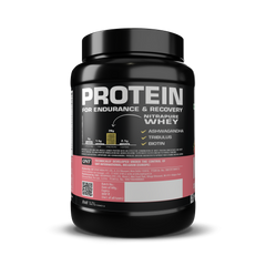 QNT Nitrapure, Blend of Whey Isolate & Concentrate | Enriched with Ashwagandha, Ginseng & Tribulus | Best Whey Protein for Muscle Gain | 28g Protein, 3g Creatine (per scoop)