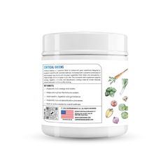 Gainz4Ever Critical Greens | Daily Super Greens Powder with Barley Grass, Kale & Pea Protein | Daily Nutrient Boost for Energy, Immunity & Overall Wellness | Ginger Lime Flavour | 30 Servings | 300g