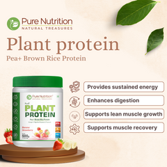 Pure Nutrition Plant Protein Powder for Men,Women -Banana & Strawberry (500g) ,With Pea & Brown Rice Protein with Omega3,Digestive Enzymes & Turmeric|Plant-based,Vegan