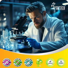 Humming Herbs Quercetin Supplement - NMN plus Resveratrol Extract - 90 Capsules