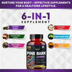 Humming Herbs Pine Bark 1200mg - 6-in-1 Formula With Lions Mane, Turmeric, Alpha Lipoic Acid, Ashwagandha, Curcumin,Black Pepper 60 Capsules
