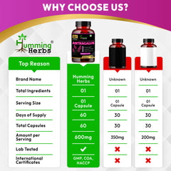 Humming Herbs Astragalus Root Extract Capsules - Supports Immune System, Cardiovascular & Liver Health - Natural Antioxidant & Anti-Aging Supplement