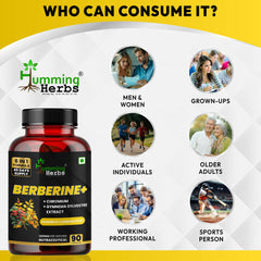 Humming Herbs Berberine+ 1200mg with Chromium, Gymnema, Cinnamon & ALA | 6-in-1 Herbal Formula | 90 Veg Capsules | 45 Days Supply | Sugar-Free & Non-GMO